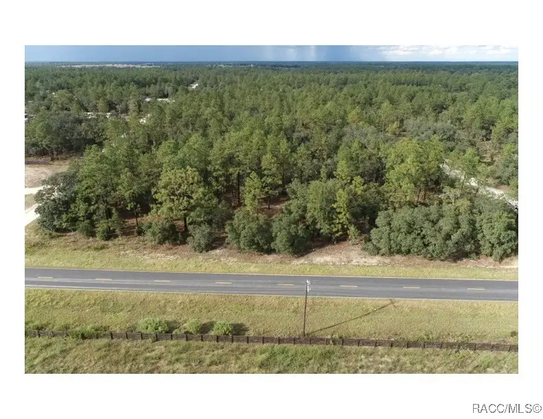 Tbd NE 137th Avenue, Williston, FL 32696 - Image #2