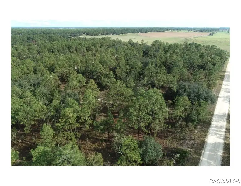 Tbd NE 137th Avenue, Williston, FL 32696 - Image #3