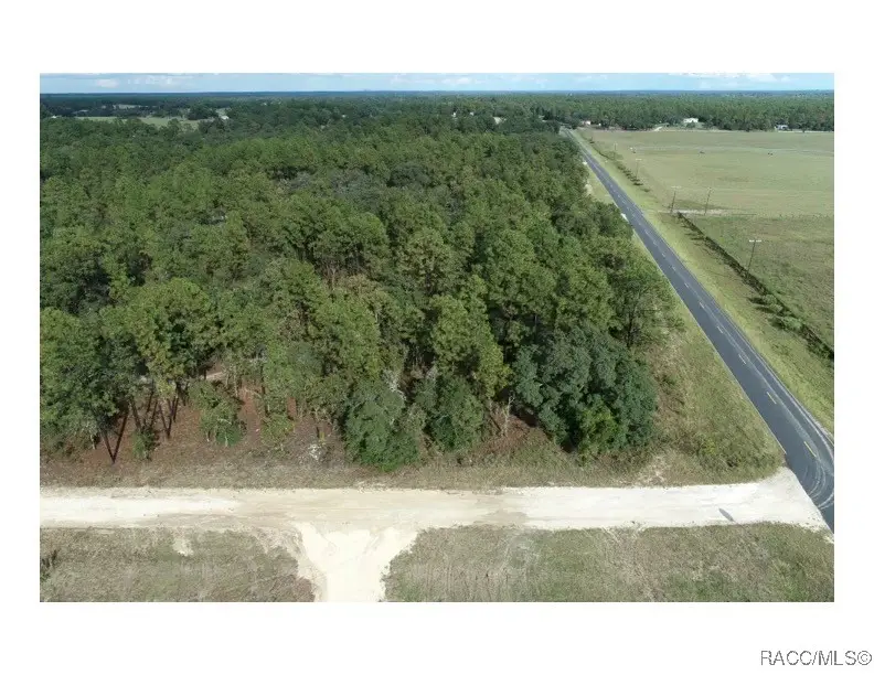 TBD E Levy Street, Williston, FL 32696 - Image #2