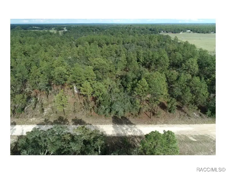 TBD E Levy Street, Williston, FL 32696 - Image #3