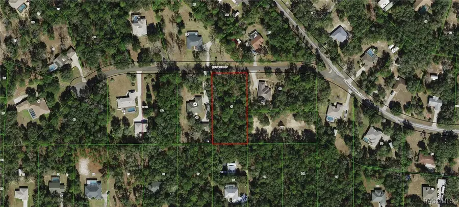 296 E Foster Court, Lecanto, FL 34461 - Image #2