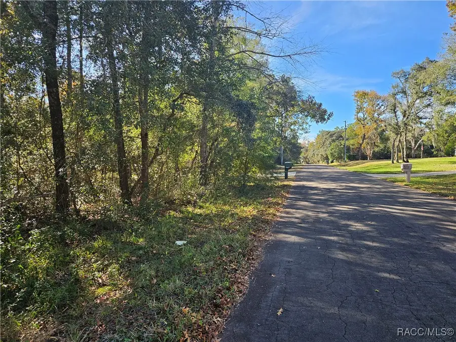 296 E Foster Court, Lecanto, FL 34461 - Image #3