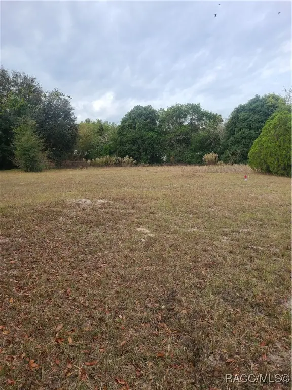 TBD SE 195 Place, Dunnellon, FL 34431 - Image #1