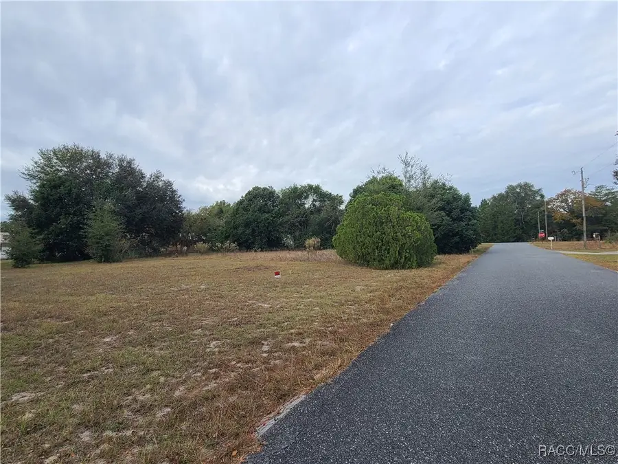 TBD SE 195 Place, Dunnellon, FL 34431 - Image #2