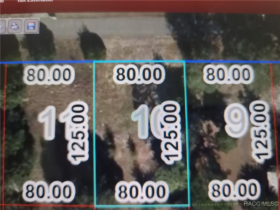 TBD SE 195 Place, Dunnellon, FL 34431 - Image #3