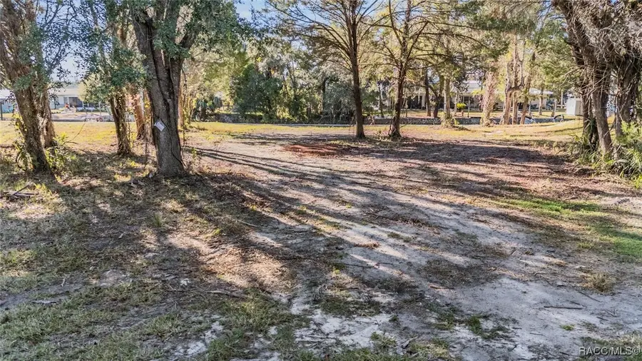 3924 N Apalachee Point, Crystal River, FL 34428 - #2