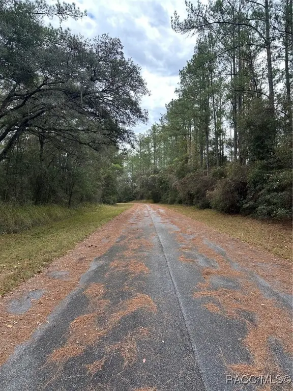 8107 N Floyd Point, Dunnellon, FL 34434 - Image #2