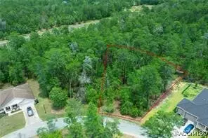 91 Bells Of Ireland Court, Homosassa, FL 34446 - Image #2