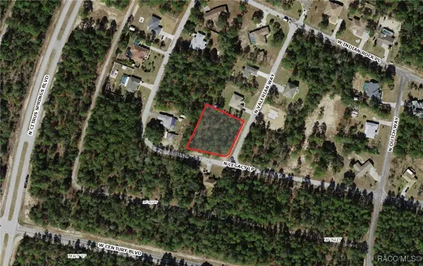 8302 N Valerian Way, Citrus Springs, FL 34433