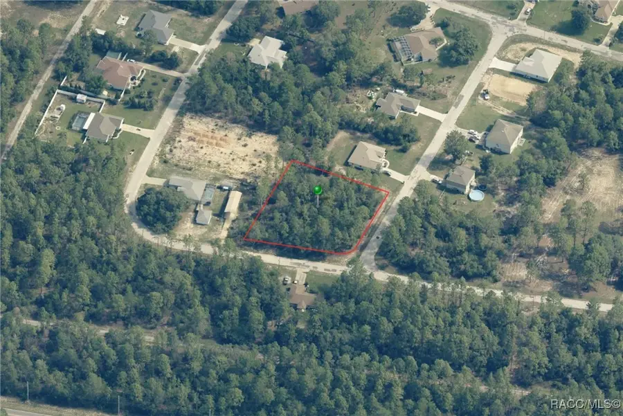 8302 N Valerian Way, Citrus Springs, FL 34433 - Image #3