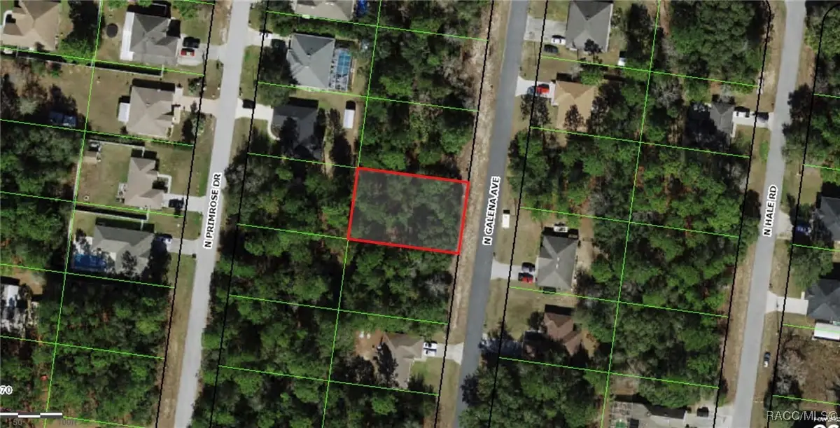 8122 Galena Avenue, Citrus Springs, FL 34434 - Image #1