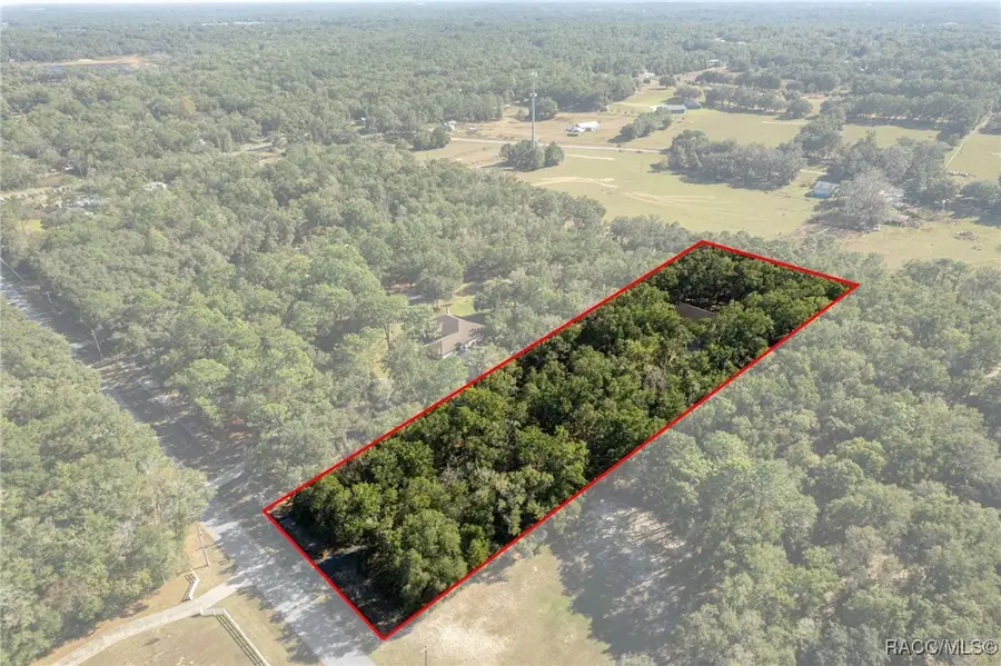 2656 E Hampshire Street, Inverness, FL 34453 - Image #2