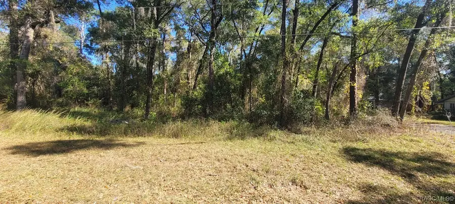 3627 S Fitch Avenue, Inverness, FL 34452 - Image #3