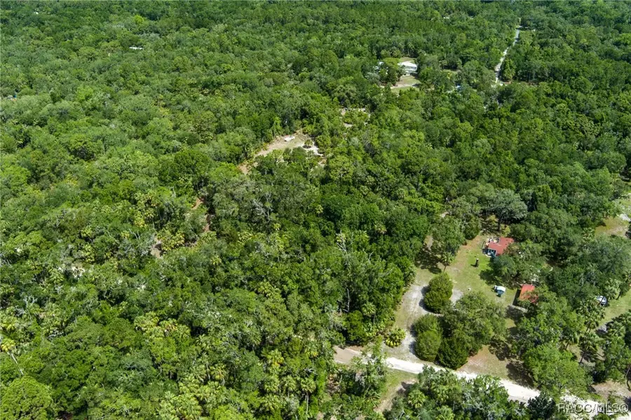 15085 W Roosters Crow Road, Inglis, FL 34449 - Image #2