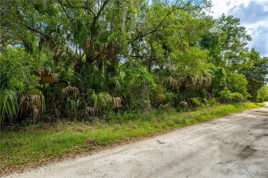 15085 W Roosters Crow Road, Inglis, FL 34449 - Image #3