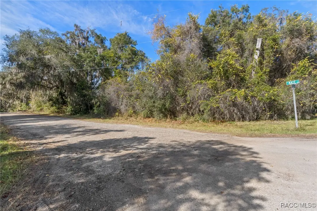4351 E Mate Lane, Hernando, FL 34442 - Image #1
