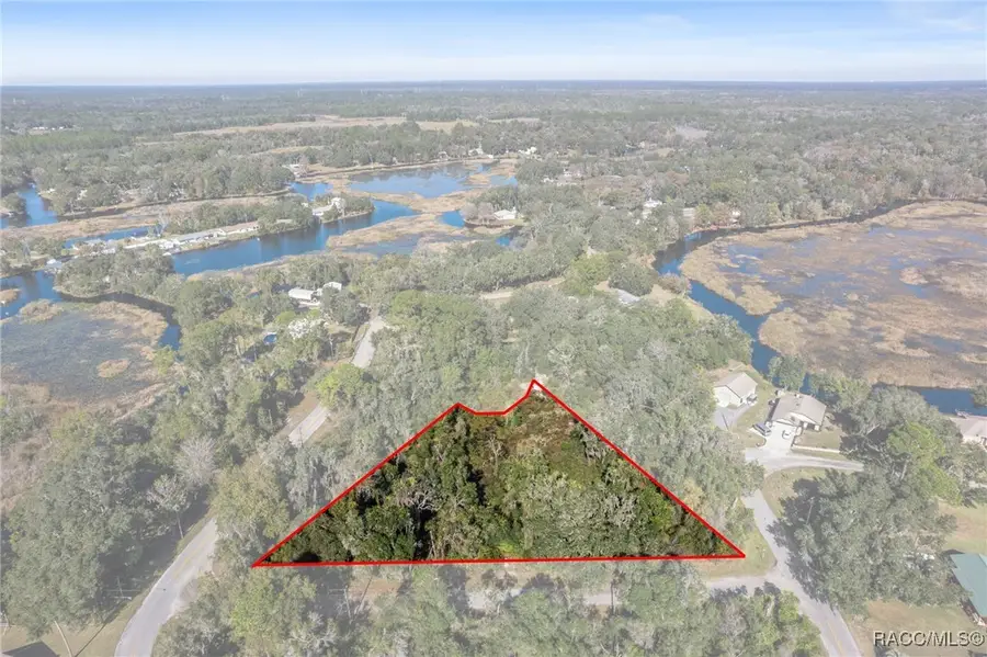 4351 E Mate Lane, Hernando, FL 34442 - Image #2