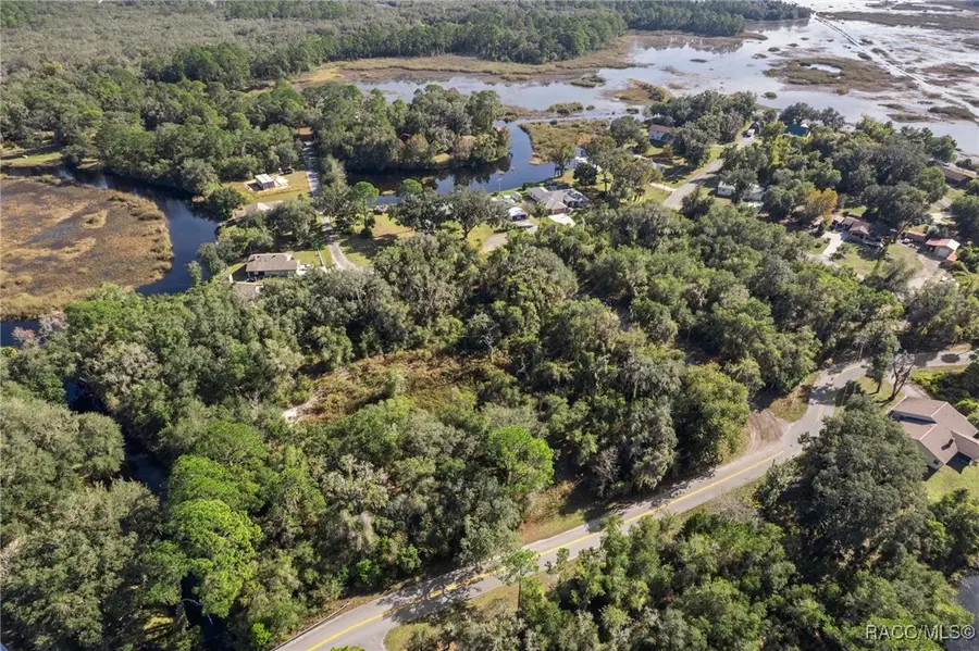 4351 E Mate Lane, Hernando, FL 34442 - Image #3