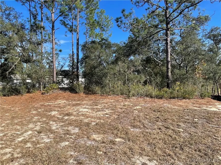 11475 N Kenney Loop, Dunnellon, FL 34433 - Image #2