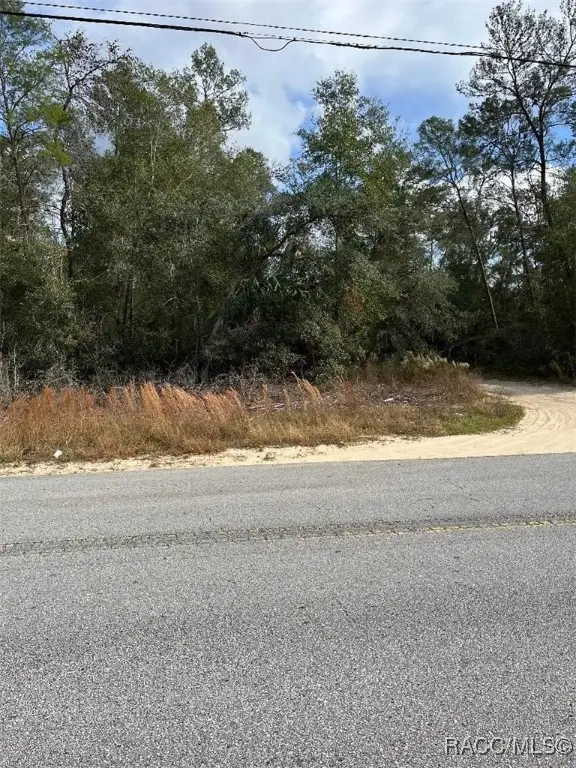 3008 Collins Street, Inverness, FL 34452 - Image #2