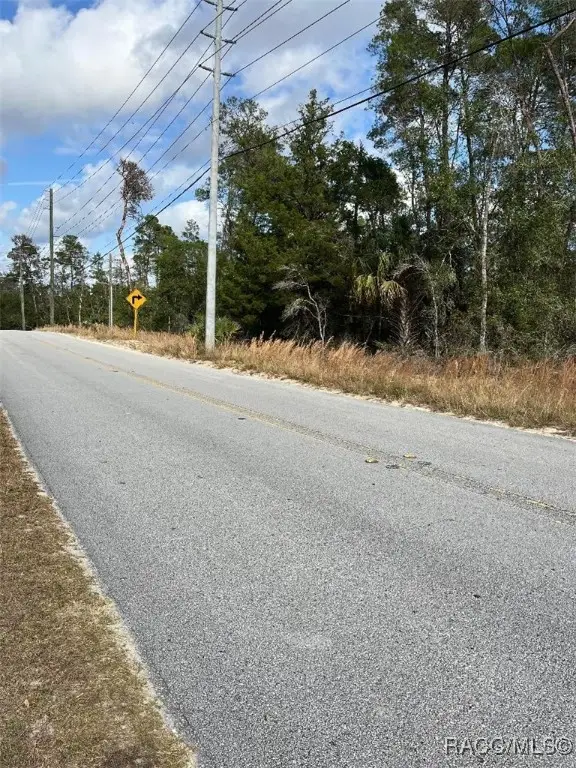 3008 Collins Street, Inverness, FL 34452 - Image #3