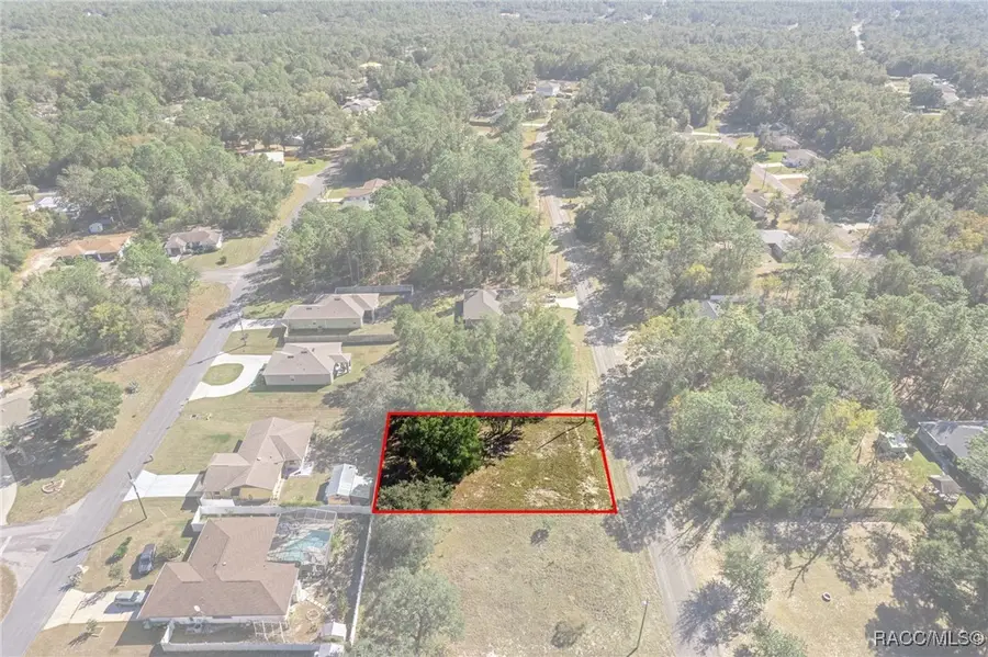 9171 N Hammond Way, Citrus Springs, FL 34434 - Image #3