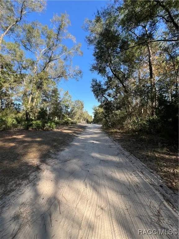 O SE 179th Place, Summerfield, FL 34491 - #3