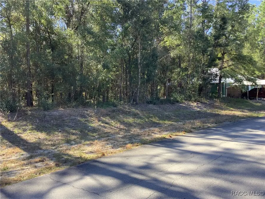TBD SW 89th Circle, Ocala, FL 34473 - Image #3