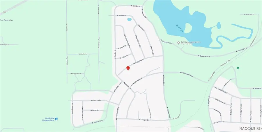 2656 W Braganza Street, Dunnellon, FL 34433 - Image #2