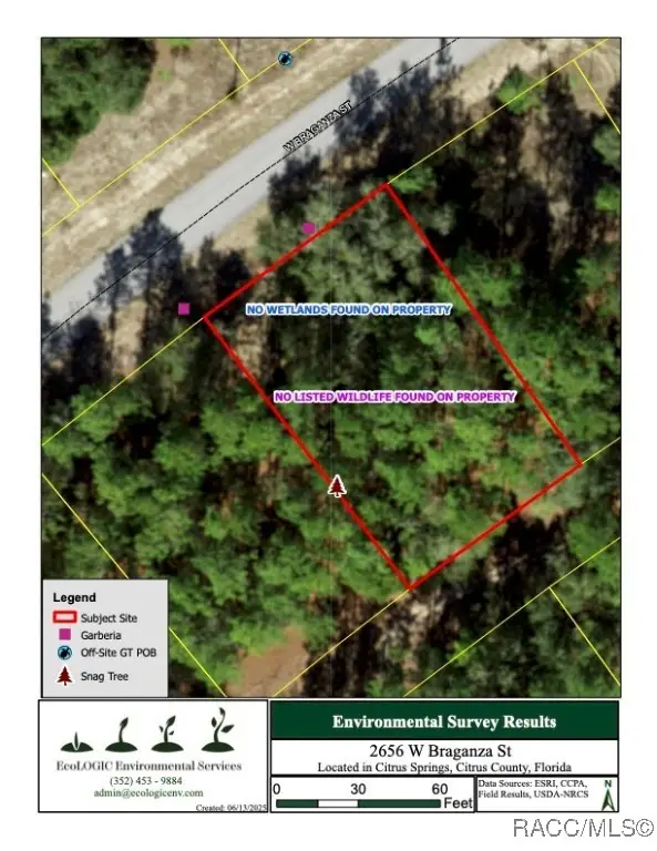 2656 W Braganza Street, Dunnellon, FL 34433 - Image #3