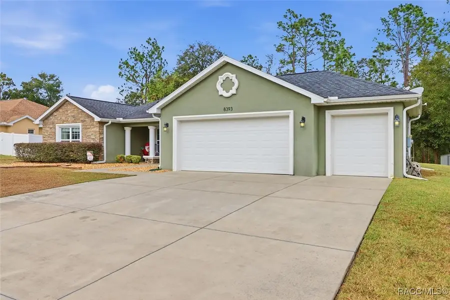 8393 SE 159th Lane, Summerfield, FL 34491 - #3
