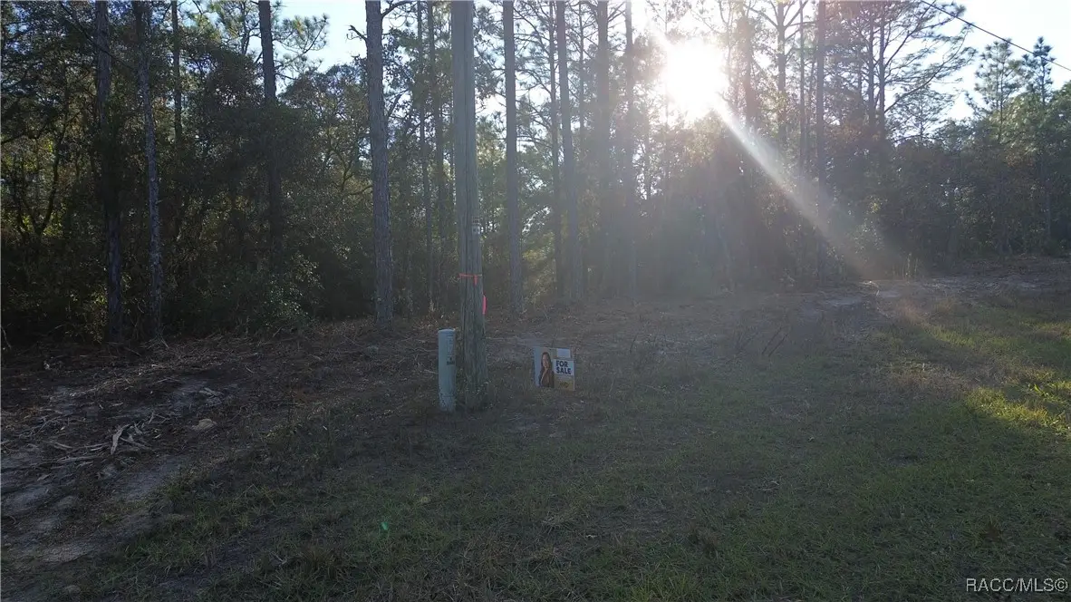 3882 W Fireside Lane, Citrus Springs, FL 34433 - Image #1