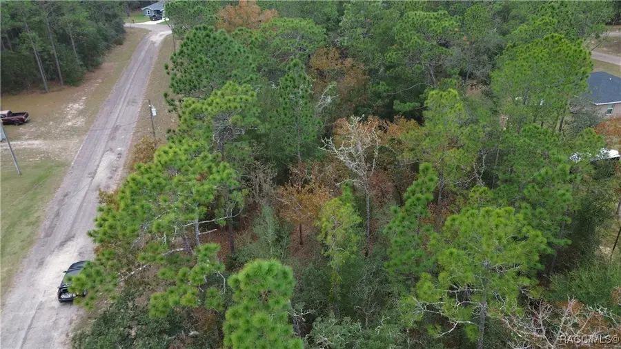 9700 N Langdon Road, Citrus Springs, FL 34434 - Image #2