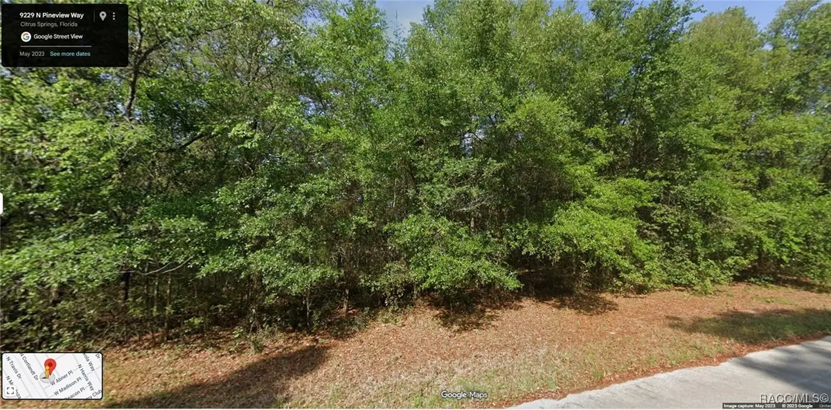 9229 N Pineview Way, Citrus Springs, FL 34434 - Image #1