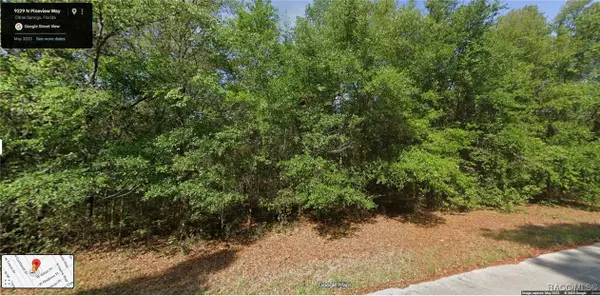 9229 N Pineview Way, Citrus Springs, FL 34434