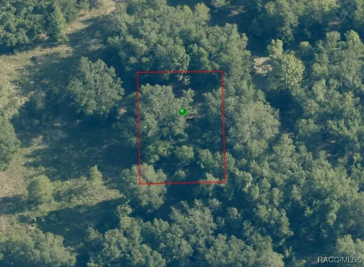 2405 Jefferson Street, Inverness, FL 34453 - Image #1