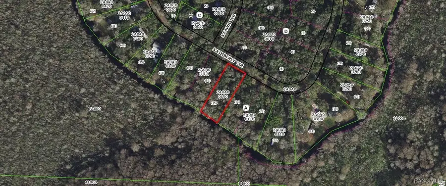 8156 S Kimberly Circle, Floral City, FL 34436 - Image #2