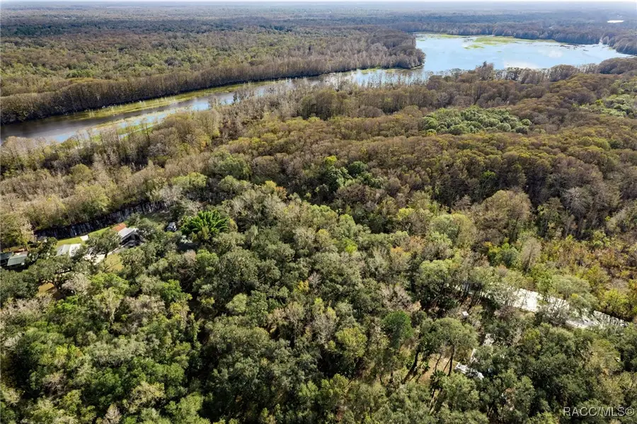 8156 S Kimberly Circle, Floral City, FL 34436 - Image #3