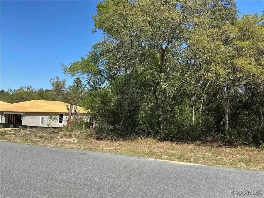 2924 W Camilo Drive, Citrus Springs, FL 34434 - Image #2