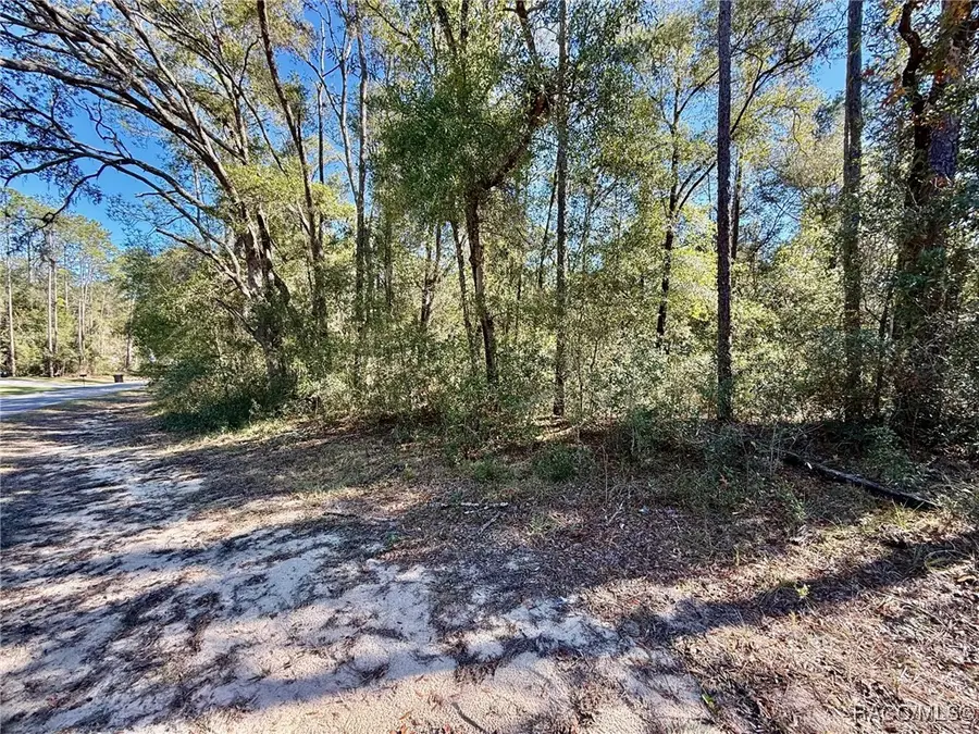 1926 W Rolling Place, Citrus Springs, FL 34434 - Image #3