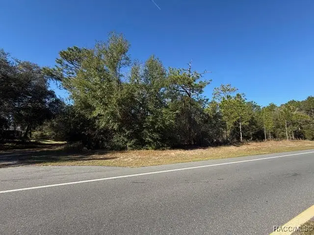 7220 N Deltona Boulevard, Citrus Springs, FL 34434 - #1