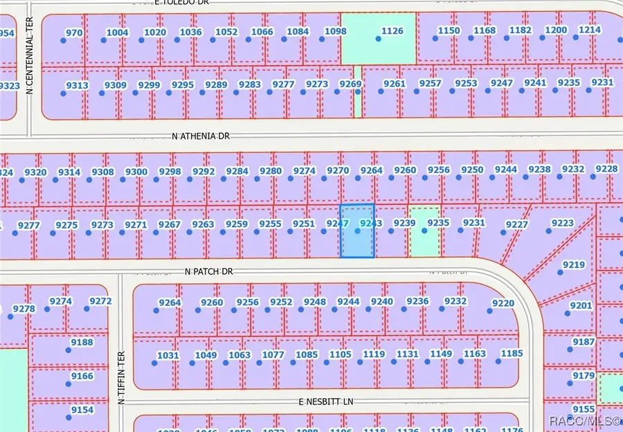 9243 N Patch Drive, Citrus Springs, FL 34434 - Image #2