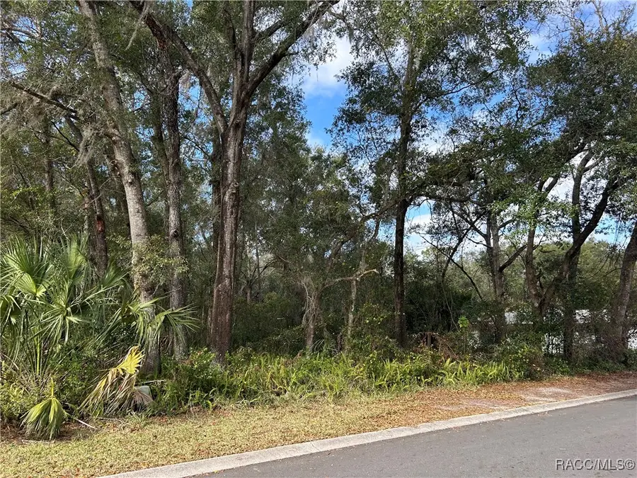 1129 W Bucknell Avenue, Inverness, FL 34450 - Image #3