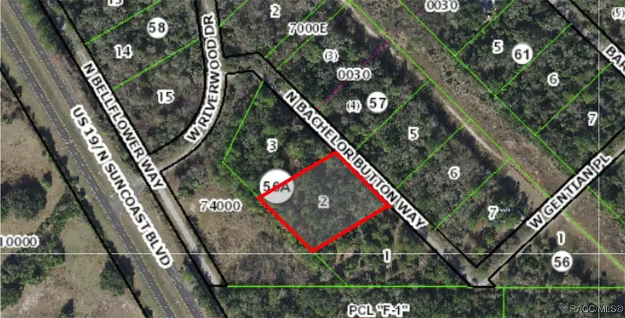 8566 N Bachelor Button Way, Crystal River, FL 34428 - Image #2