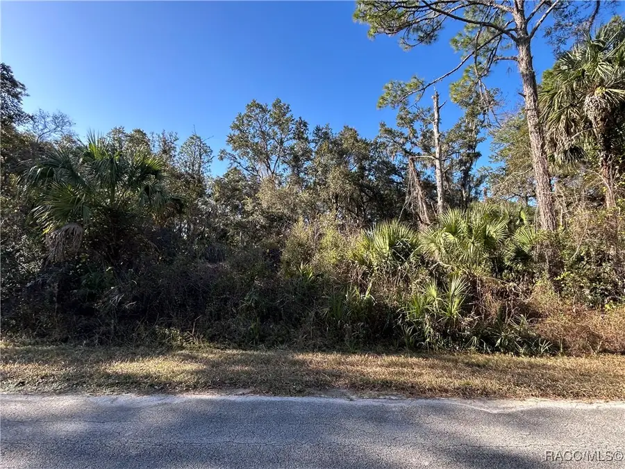 8566 N Bachelor Button Way, Crystal River, FL 34428 - Image #3