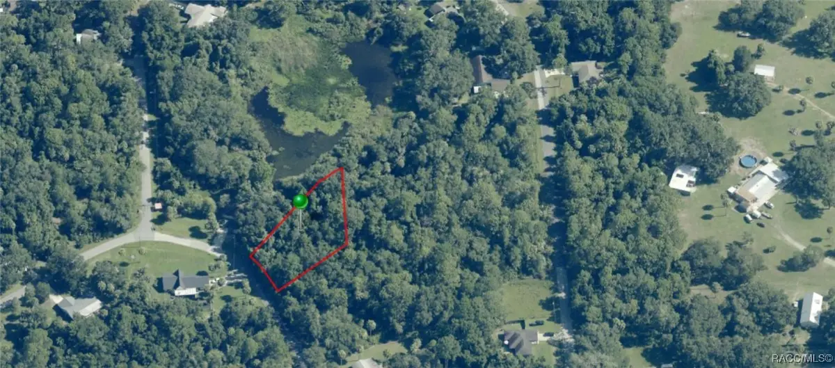 11181 W Cedar Lake Drive, Crystal River, FL 34428 - Image #1
