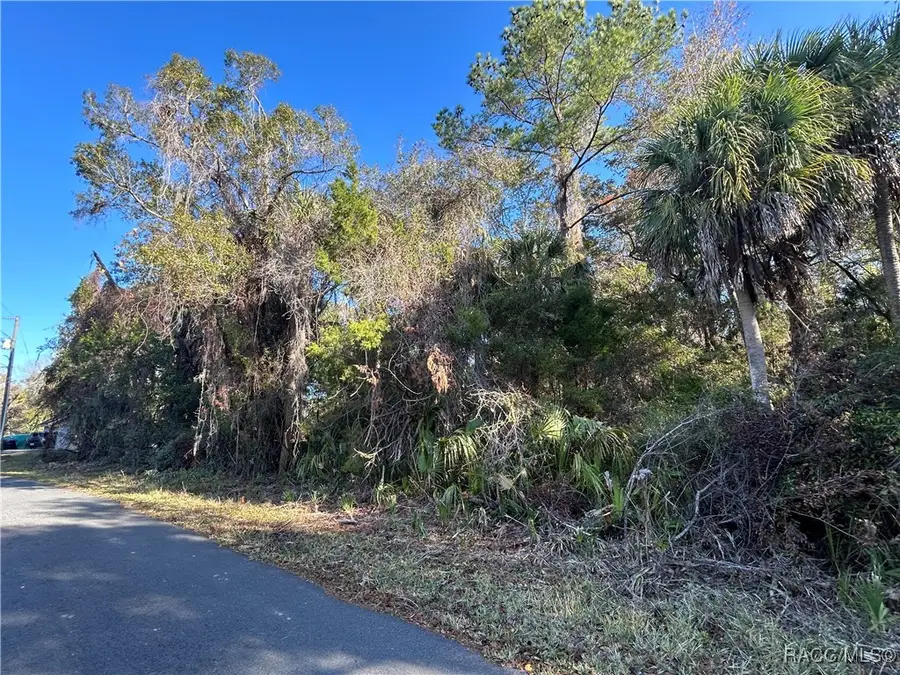 11181 W Cedar Lake Drive, Crystal River, FL 34428 - Image #3