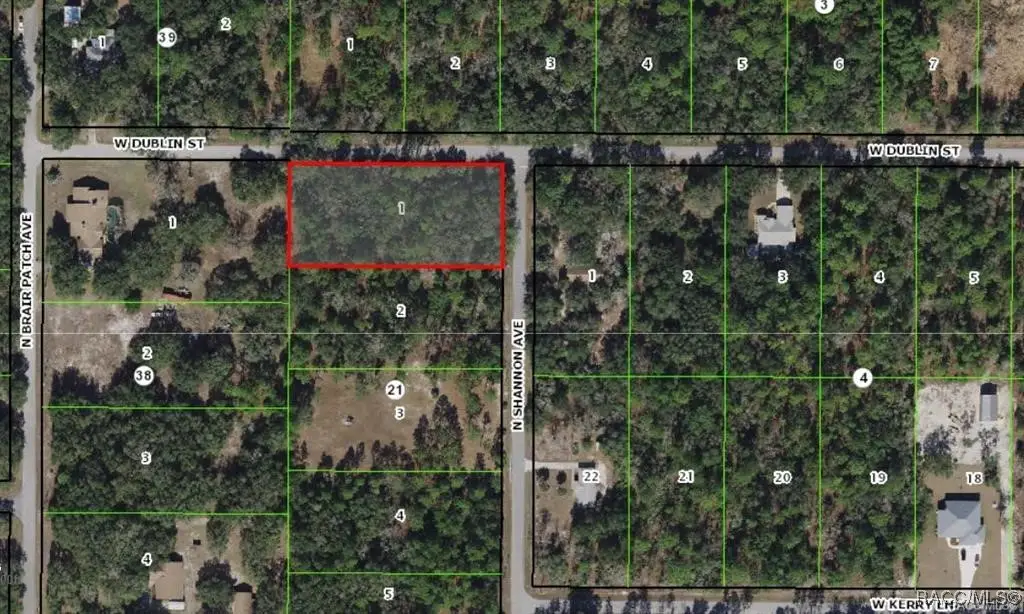 8652 N Shannon Avenue, Crystal River, FL 34428 - Image #1
