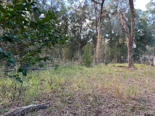 9837 E Lazyoak Drive, Floral City, FL 34436 - Image #3