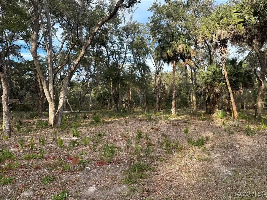 8125 Catrina Lane, Crystal River, FL 34429 - Image #2